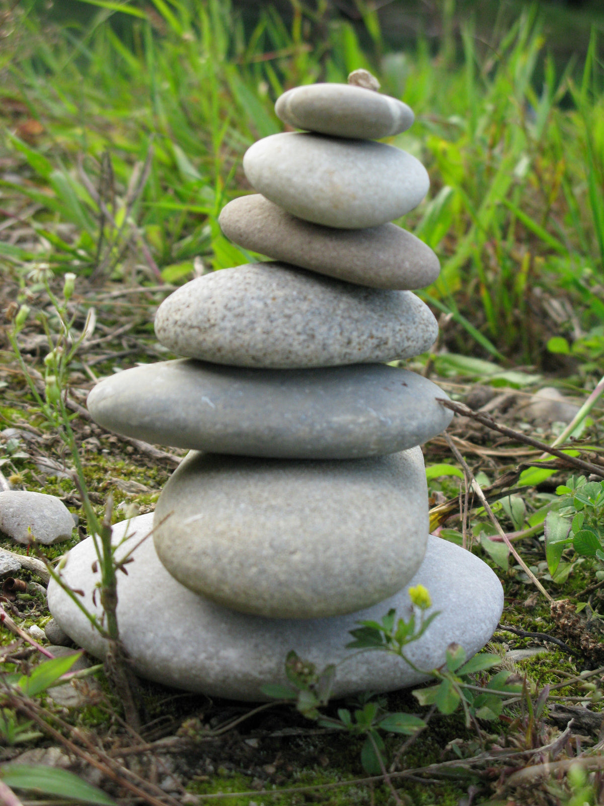 Balance im Alltag natürlich finden