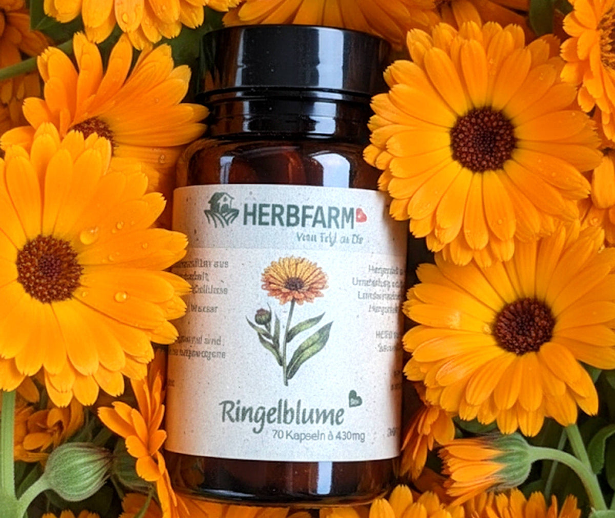 Ringelblume Kapseln - wofür sie sinnvoll sind